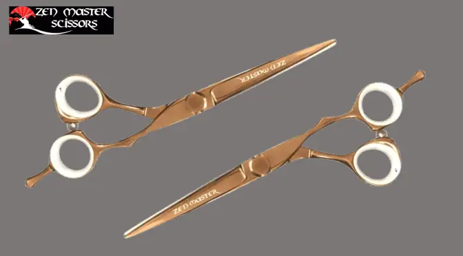 Hair Cutting Scissors Set